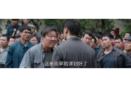 网贷平台每天催收：揭秘网贷催收现状与应对策略