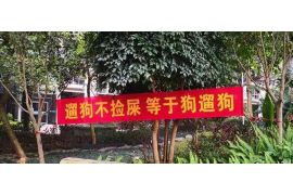 催收客服的工作总结